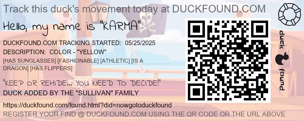 DUCKFOUND TAG - PIRATE SHIP FLAG