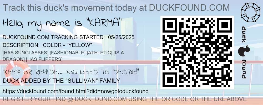 DUCKFOUND TAG - SKYLINE CLOSER